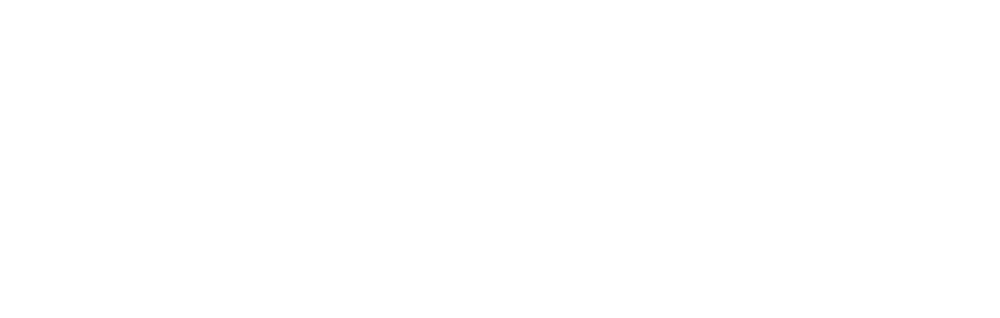 Lexicon trening pasa